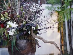 -自由生长植物工作室(深港花卉中心店)