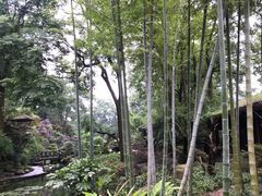 -南山植物园