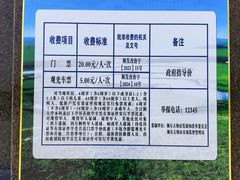 -室韦口岸