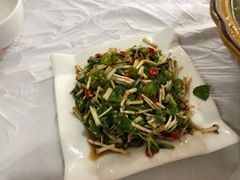 -明升萝卜汤