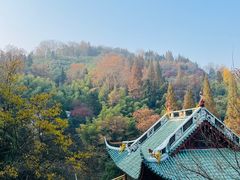 -莫干山风景区