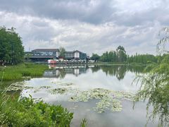 -白鹭湾湿地公园