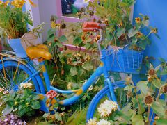 -深圳仙湖植物园