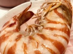 -鲜入围煮花胶鸡海鲜火锅