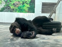 -西安秦岭野生动物园