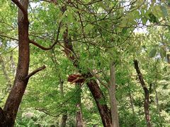 -WeLope紫金山探险公园