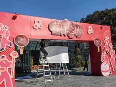-南沙蒲洲花园