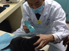 北京康乐宝动物医院-康乐宝动物医院