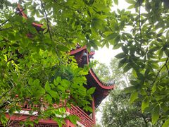 -汇龙潭