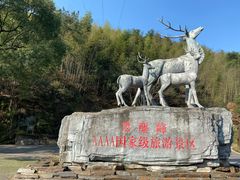 -长沙黑麋峰国家森林公园