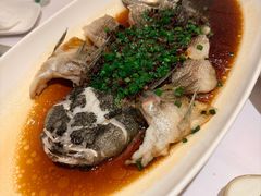 -南麓·浙里(外滩店)