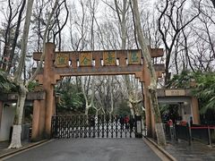 -灵谷景区