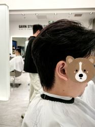 -崇尚GAVIN STYLE臻选