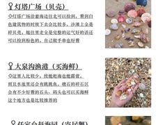 -巧克力渔家.小船海鲜胶东菜(万平口店)