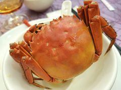 -轩记海鲜餐厅·四十五年老字号·经典粤菜(西区彩虹店)
