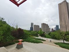 -大望京公园