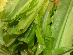 -芦月轩羊蝎子(劲松店)