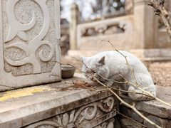 -潭柘寺景区