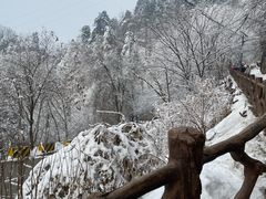 -终南山南五台景区