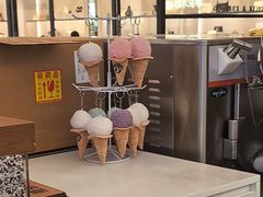 -野人先生Gelato(上海长宁龙之梦店)