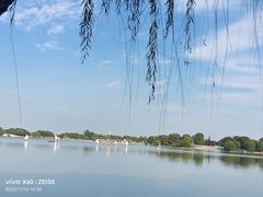 -上海月湖雕塑公园