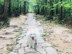 -冶父山国家森林公园