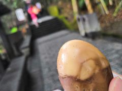 阿婆茶叶蛋-金盆阿嬷香菇茶叶蛋(玄光店)