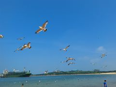 -海驴岛(荣成市)