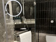-新加坡乌节希尔顿酒店 (SG Clean)