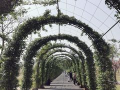 -广富林郊野公园