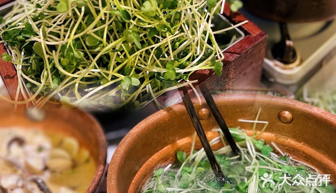 🥢舌尖上的美味,湘菜界的爱马仕|湘颂 🍽
