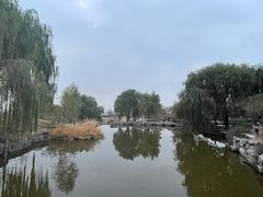 -北京西山国家森林公园