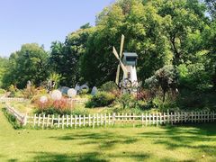 -上海共青森林公园