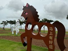 -野狸岛