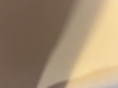 -眉州东坡(亚运村店)