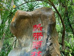 -中国科学院西双版纳热带植物园