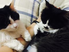 -吕氏疙瘩汤·私家菜馆(慈云寺店)