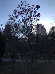 -大望京儿童游乐场