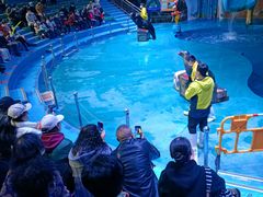 -烟台海昌鲸鲨海洋公园