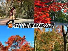 -广州市石门国家森林公园