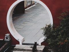 -长春观