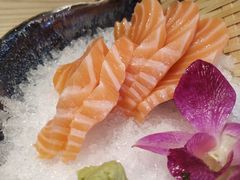 进口挪威三文鱼特价-Top House日式料理(茸北店)