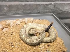 -自然博物馆新馆2楼餐厅