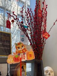-北京楚诺医疗美容