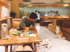 -柴务处·柴犬主题狗咖