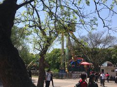 -朝阳公园游乐园