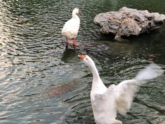 -祝家花園(伯渎港店)