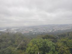 -紫金山天文台