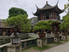 -碧江金楼