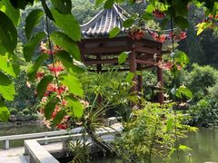 -广州神农草堂中医药博物馆